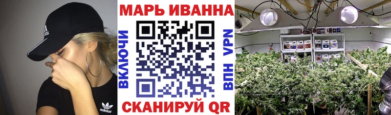 Купить где  Карабаново  Каннабис MAZAR 